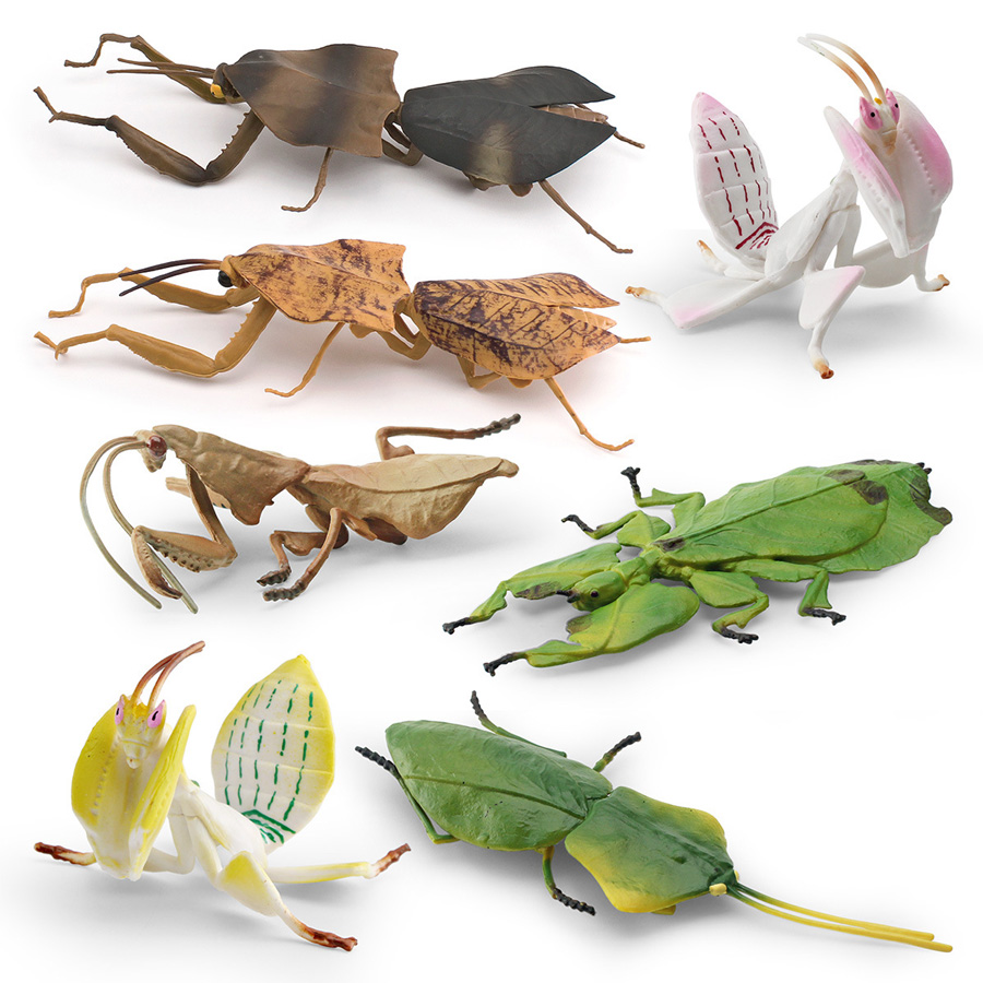 Modello Realistico di Mantis O - Home Improvement Kids recensione e prezzo