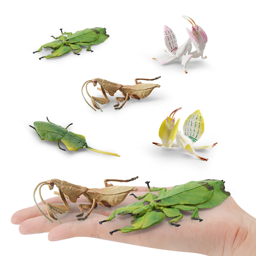 Modello Realistico di Mantis O - Home Improvement Kids recensione e prezzo